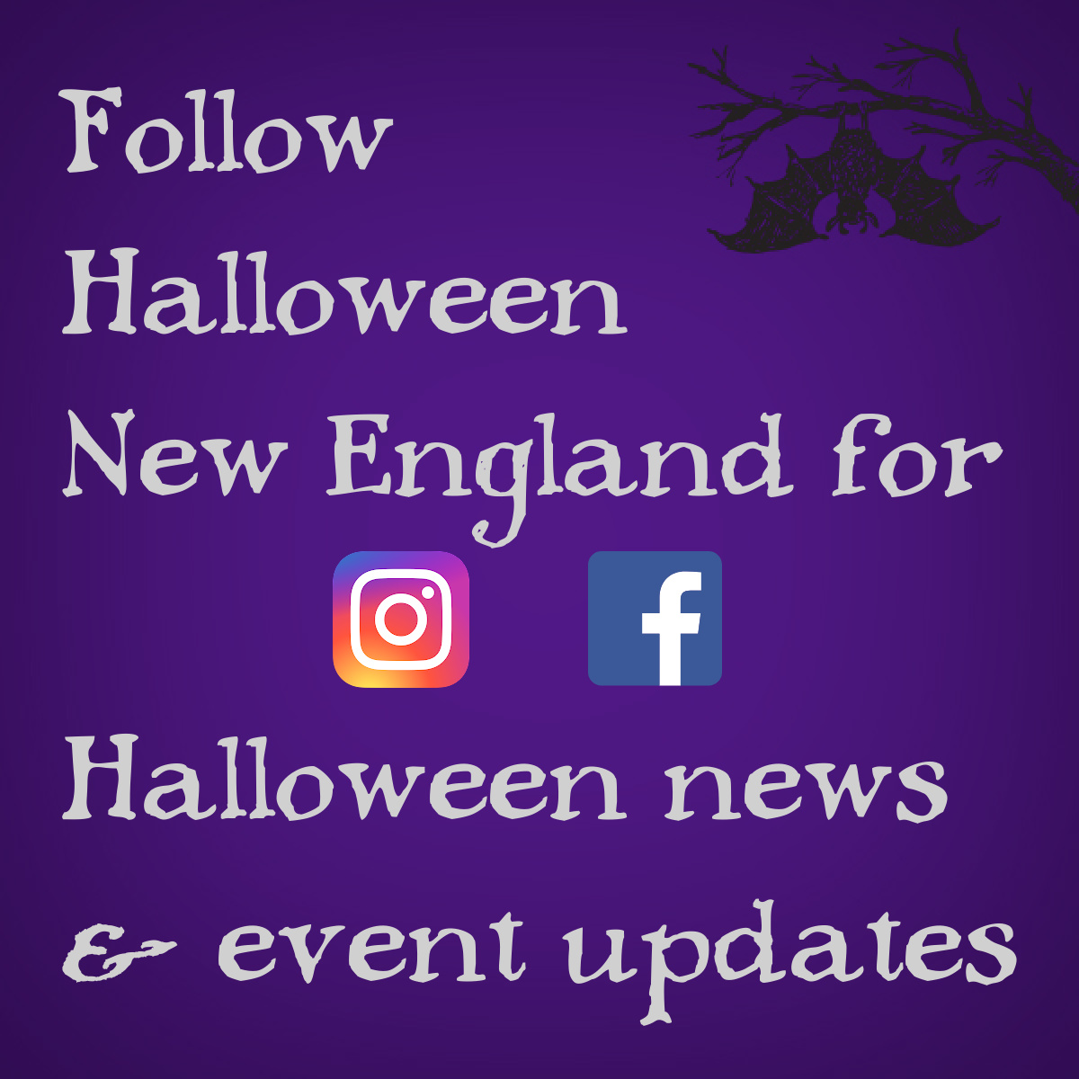 HNE_Filler_SocialMedia_Purp.bat.jpg