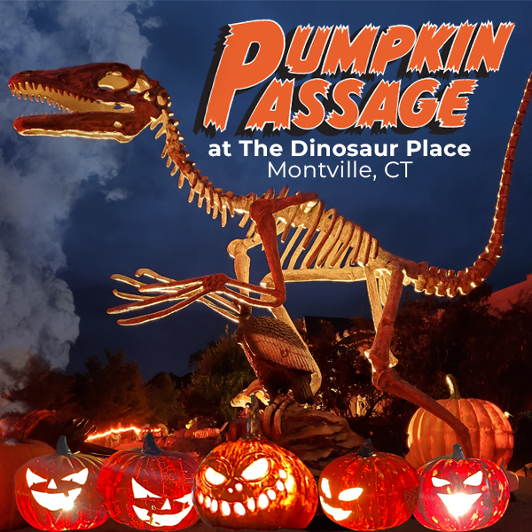 PumpkinPassage CT Square22.jpg